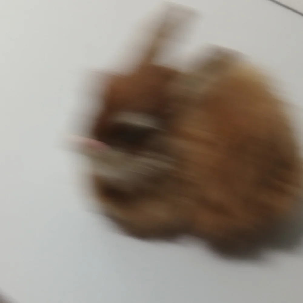 Source Unknown Brown and White Bunny Toy for Small Pets
